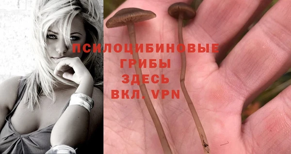 гашиш Алексин