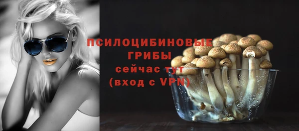 синтетический гашиш Алексеевка