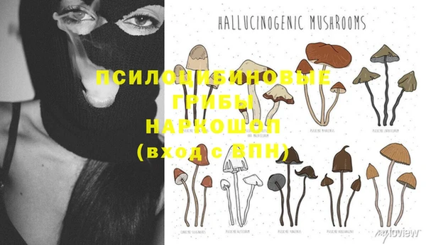 Альфа ПВП Алзамай