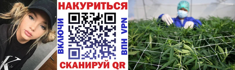 купить   Лахденпохья  МАРИХУАНА White Widow 